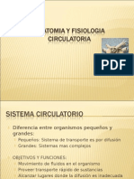 Anatomia y Fisiologia Circulatoria