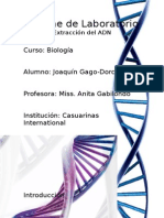 Informe de Laboratorio - Extraccion Del ADN