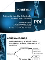 Citogenetica Diapositivas Definitivas