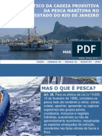 Diagnóstico Da Cadeia Produtiva Da Pesca Marítima No Estado Do Rio de Janeiro