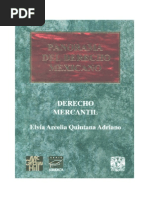 Derecho Mercantil - Elvia Quintana Adriano