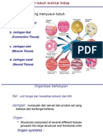 Presentasi Biodas Fisika 3