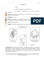 24 Salicaceae PDF