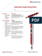 FH Double-Grip Packer Technical Datasheet