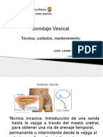 Sondaje Vesical. Hvcm.. Exposicion