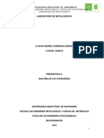 Informe 2 Metalografía Final Andrea