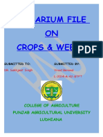 Herbarium File ON Crops & Weeds: College of Agriculture Punjab Agricultural University Ludhiana