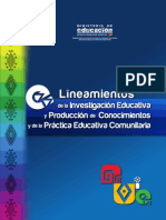 Lineamientos IEPC