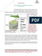 Absorcion de Nutrientes en Fertilizacion Foliar