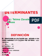 UCP Determinantes (2014-1)