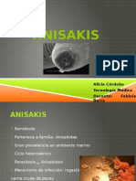 Anisakis 