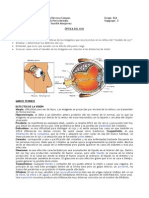 Optica Del Ojo