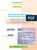 Informe de Almidones