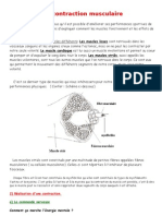 La Contraction Musculaire