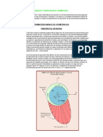 Analisis y Fabricacion de Chumaceras