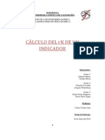 Cálculo Del PK de Un Indicador