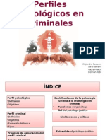 G5. Perfiles Psicologicos Criminales4