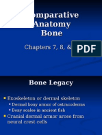 Comparative Anatomy of The Bone