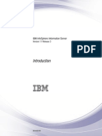 Ibm Iis