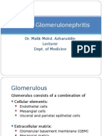 Primary Glomerulonephritis UG Lecture