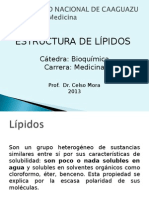 Lipidos 