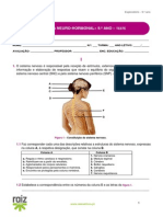 Teste Neuro Hormonal Raiz PDF