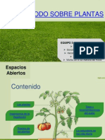 Todo Sobre Las Plantas