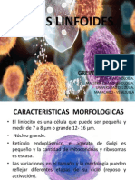 Presentación Linfocitos PDF