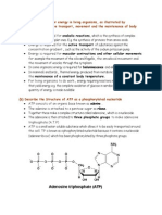 (A) Outline The Need For Energy in Living Organisms, As Illustrated by Anabolicreactions, Active Transport, Movement and The Maintenance of Body Temperature