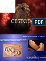 Cestodos FNL