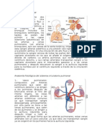 Circulación Pulmonar