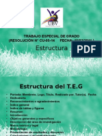 Estructura Del Proyecto para TSU y Licenciado en Gestion Ambiental UBV