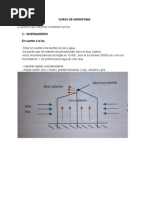 Curso de Hidroponia