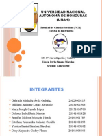 Indicadores de Salud