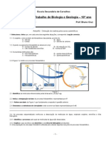 Ficha de Trabalho Sobre Fotossintese