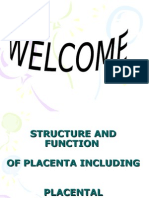 Placenta