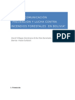 Plan de Comunicación para El Programa "Prevención de Incendios Forestales en Bolivia".