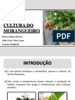 Cultura Do Morangueiro PDF