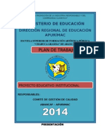 Plan de Trabajo Pei