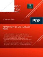 Metabolismo y Membrana Del Glóbulo Rojo