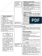 Esquema Mío. Tema 13. Parte 4