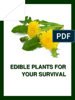 A Basic Guide To Edible Plants