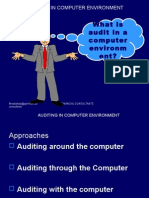 Auditing in Computer Environment Presentation 1224128964994975 8