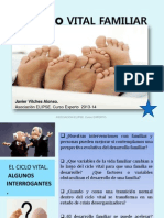 DIAPOSITIVAS Ciclo Vital. Diplomado de Chile