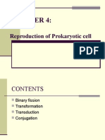 Reproduction of Prokaryotic Cell