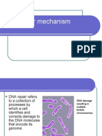 Dna Repair Mechanisms