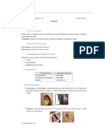 Resumo Fósseis PDF