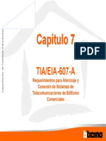 Cap7 - Normas TIAEIA 607