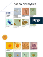 Parasitología Médica