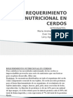 Requerimiento Nutricional en Cerdos